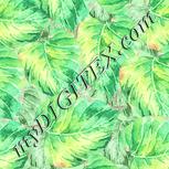 Colour:K