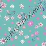 Colour:B