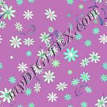 Colour:C