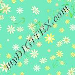 Colour:K