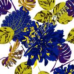 Colour:A