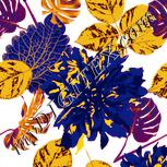 Colour:J