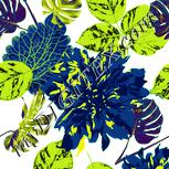 Colour:K