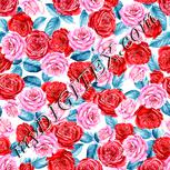 Colour:A