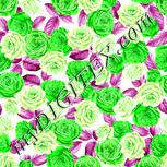 Colour:C