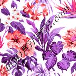 Colour:B