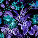 Colour:F