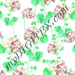 Colour:K