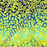 Colour:K