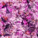 Colour:B