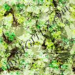Colour:D