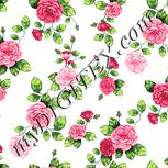 Colour:A