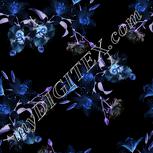 Colour:F