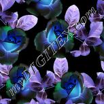 Colour:F