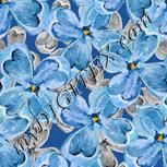Colour:A
