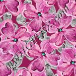 Colour:C