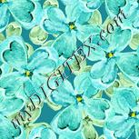 Colour:K