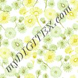 Colour:K