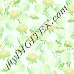 Colour:K