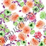 Colour:B