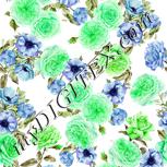 Colour:D