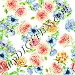 Colour:K