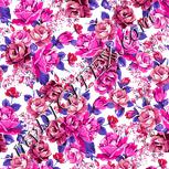 Colour:C