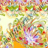 Colour:A
