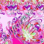 Colour:B