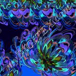 Colour:F