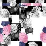 Colour:B