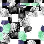Colour:C