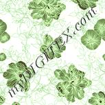 Colour:K