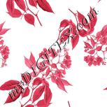 Colour:B