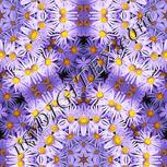 Colour:A