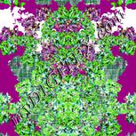 Colour:C