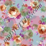 Colour:B