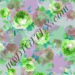 Colour:C