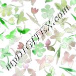 Colour:C