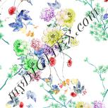Colour:C