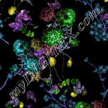 Colour:F