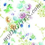 Colour:K