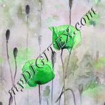 Colour:D