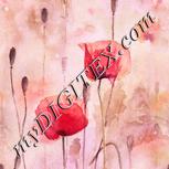 Colour:J