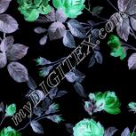 Colour:F