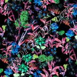 Colour:F