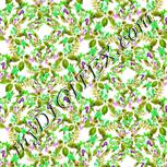 Colour:D