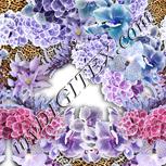 Colour:A