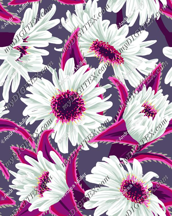 Teteaweka Daisy - Purple