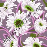 Colour:C